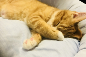 魂のエネルギー補給